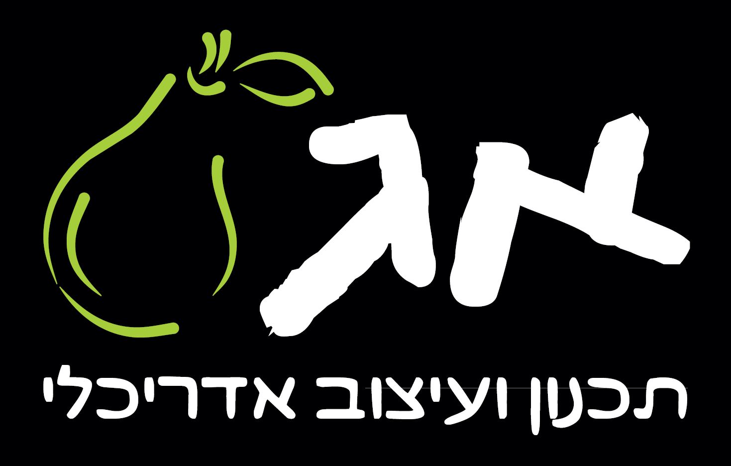 אמיר גרגיר